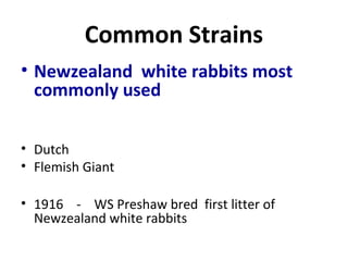 Common Strains
• Newzealand white rabbits most
commonly used
• Dutch
• Flemish Giant
• 1916 - WS Preshaw bred first litter of
Newzealand white rabbits
 