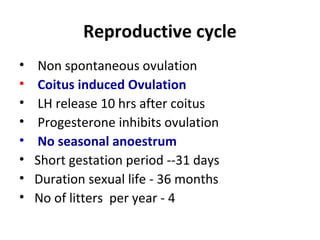 Reproductive cycle
• Non spontaneous ovulation
• Coitus induced Ovulation
• LH release 10 hrs after coitus
• Progesterone inhibits ovulation
• No seasonal anoestrum
• Short gestation period --31 days
• Duration sexual life - 36 months
• No of litters per year - 4
 