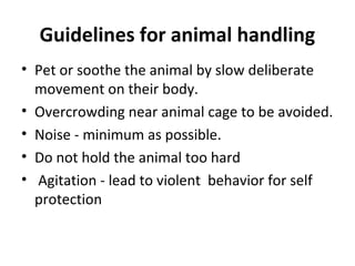 Guidelines for animal handling
• Pet or soothe the animal by slow deliberate
movement on their body.
• Overcrowding near animal cage to be avoided.
• Noise - minimum as possible.
• Do not hold the animal too hard
• Agitation - lead to violent behavior for self
protection
 