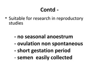 Contd -
• Suitable for research in reproductory
studies
- no seasonal anoestrum
- ovulation non spontaneous
- short gestation period
- semen easily collected
 
