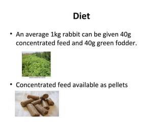 Diet
• An average 1kg rabbit can be given 40g
concentrated feed and 40g green fodder.
• Concentrated feed available as pellets
 