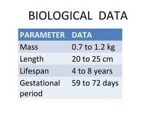 BIOLOGICAL DATA
PARAMETER DATA
Mass 0.7 to 1.2 kg
Length 20 to 25 cm
Lifespan 4 to 8 years
Gestational
period
59 to 72 days
 