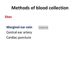 Methods of blood collection
Sites
Marginal ear vein
Central ear artery
Cardiac puncture
 