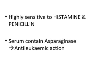 • Highly sensitive to HISTAMINE &
PENICILLIN
• Serum contain Asparaginase
Antileukaemic action
 