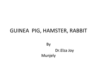 GUINEA PIG, HAMSTER, RABBIT
By
Dr.Elza Joy
Munjely
 