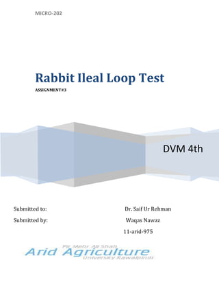 MICRO-202
DVM 4th
Rabbit Ileal Loop Test
ASSIGNMENT#3
Submitted to: Dr. Saif Ur Rehman
Submitted by: Waqas Nawaz
11-arid-975
 
