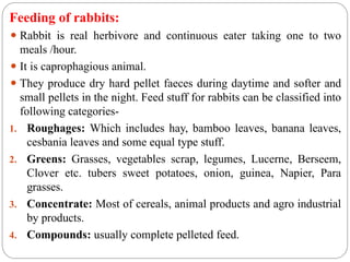 rabbit management rearing pattern, disease prevention,feeding ...