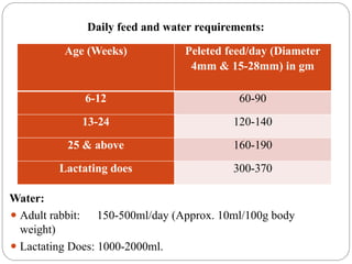 rabbit management rearing pattern, disease prevention,feeding ...