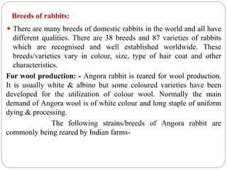 rabbit management rearing pattern, disease prevention,feeding ...