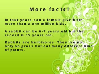 Here are some  pictures of rabbits. Mini lop Mini lop Mini lop and leaves  rabbit 