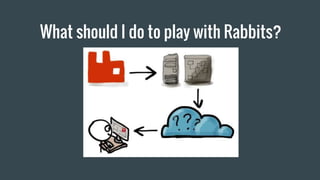 What should I do to play with Rabbits?
 