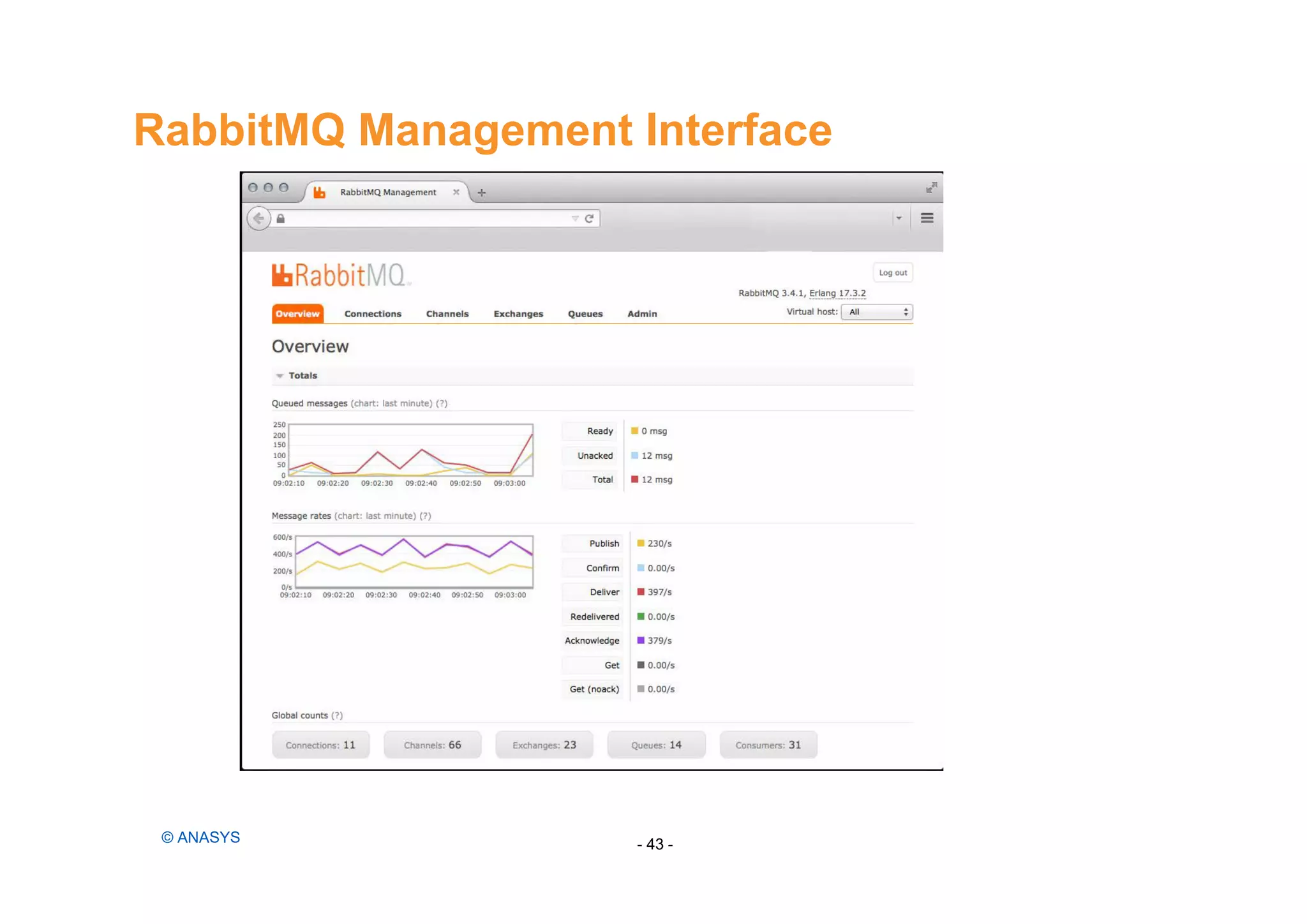 RabbitMQ Management Interface
- 43 -© ANASYS
 