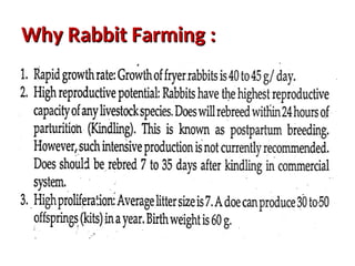 RABBIT NUTRITION, Animal Science, Animal Nutrition. | PPT