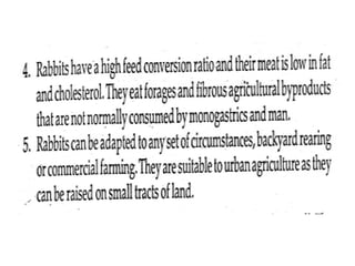 RABBIT NUTRITION, Animal Science, Animal Nutrition. | PPT
