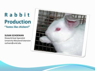 Rabbit
Production
“Tastes like chicken!”

SUSAN SCHOENIAN
Sheep & Goat Specialist
University Maryland Extension
sschoen@umd.edu
 