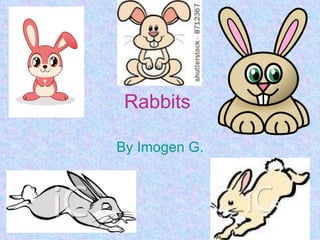 Rabbits

By Imogen G.
 
