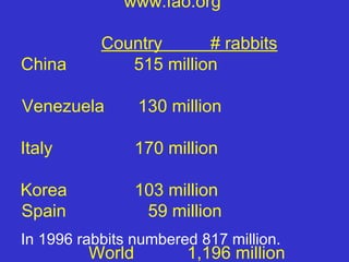 www.fao.org

           Country      # rabbits
China         515 million

Venezuela        130 million

Italy            170 million

Korea            103 million
Spain             59 million
In 1996 rabbits numbered 817 million.
         World         1,196 million
 