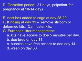 D. Gestation period: 31 days, palpation for
pregnancy at 10-14 days

E. nest box added to cage at day 28-29
F. Kindling at day 31 – remove stillborn or
deformed kits. Can foster kits.
G. European litter management:
   a. kits have access to doe 5 minutes per day.
   b. doe bred on day 11.
   c. bunnies have free access to doe day 14.
   d. wean on day 30.
 