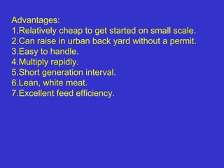Advantages:
1.Relatively cheap to get started on small scale.
2.Can raise in urban back yard without a permit.
3.Easy to handle.
4.Multiply rapidly.
5.Short generation interval.
6.Lean, white meat.
7.Excellent feed efficiency.
 