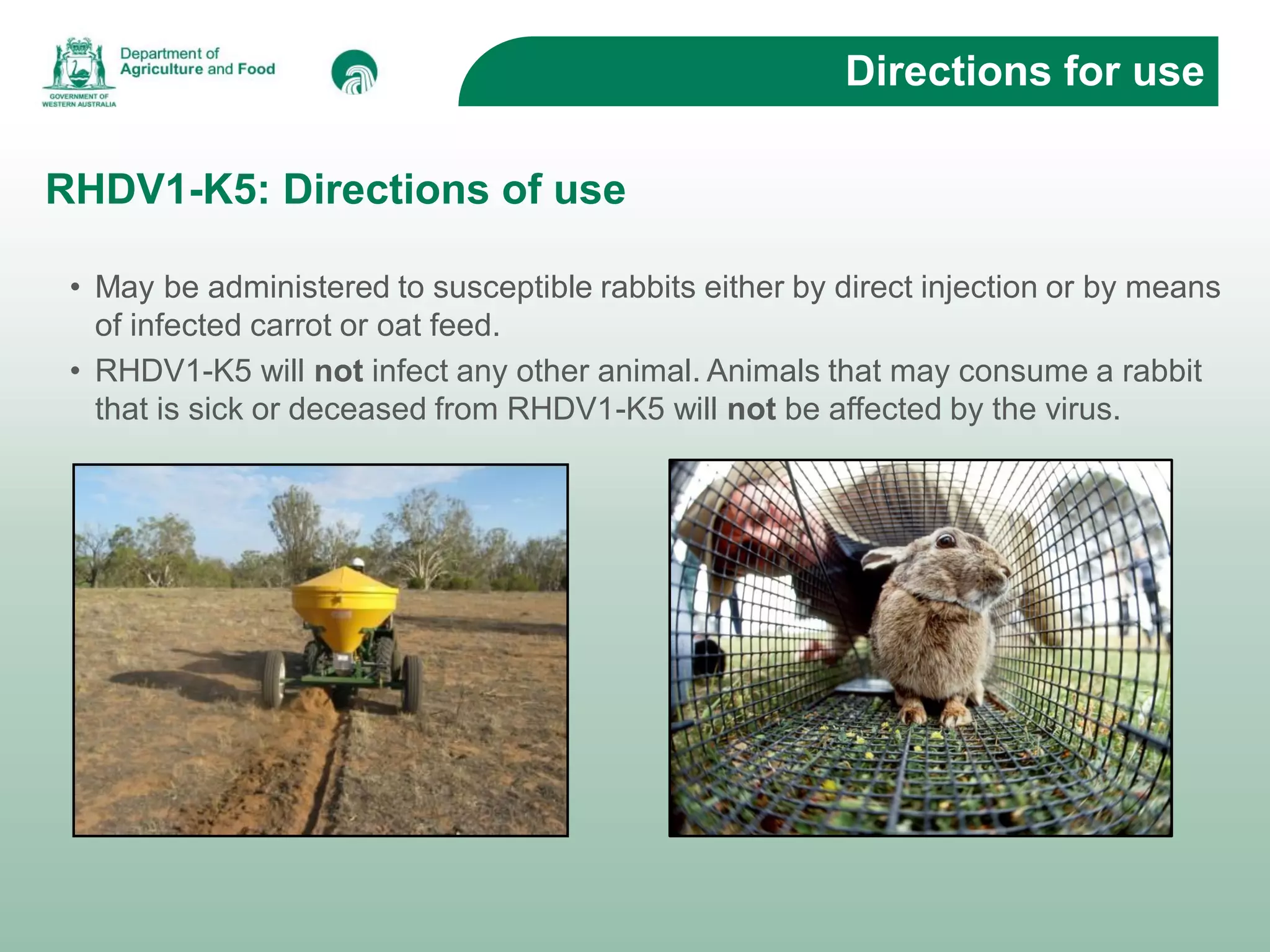 Rabbits Destructive Pests of Agriculture and the Environment | PDF