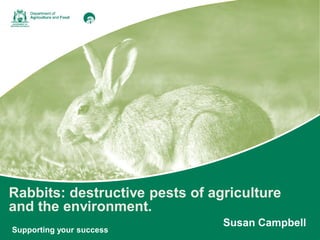 Marc Widmer successfully defends WA
from European wasp attack.
Supporting your success
Rabbits: destructive pests of agriculture
and the environment.
Susan Campbell
 
