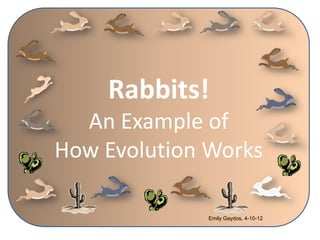 Rabbits!
  An Example of
How Evolution Works

              Emily Gaydos, 4-10-12
 