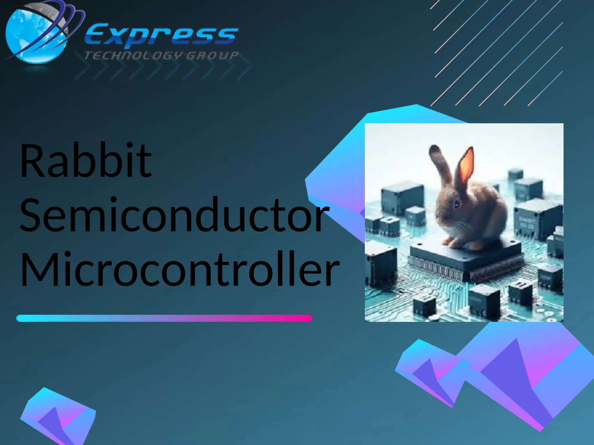 Rabbit
Semiconductor
Microcontroller
 