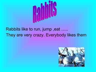 Rabbits like to run, jump ,eat ….. They are very crazy. Everybody likes them  Rabbits 