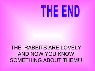 THE END THE  RABBITS ARE LOVELY AND NOW YOU KNOW SOMETHING ABOUT THEM!!! 