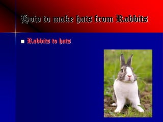 How to make hats from Rabbits

    Rabbits to hats

 