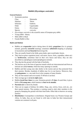 Superclass Rabbit Classification Rabbit type study lean how the internal system of rabbit works | PDF