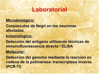 Laboratorial Microbiológico:   Corpúsculos de Negri en las neuronas afectadas Inmunológico:   Detección del antígeno utilizando técnicas de inmunofluorescencia directa / ELISA Molecular:   Detección del genoma mediante la reacción en cadena de la polimerasa- transcriptasa inversa (PCR-TI) 
