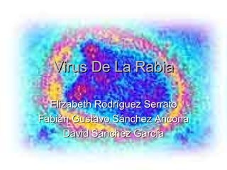 Virus De La Rabia Elizabeth Rodríguez Serrato Fabián Gustavo Sánchez Ancona David Sánchez García 