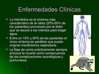 Enfermedades Clínicas La hidrofobia es el síntoma más característico de la rabia (20%-50% de los pacientes) provocado por el dolor que se asocia a los intentos para tragar agua. Entre un 15% y 60% de los pacientes el único síntoma es parálisis que puede originar insuficiencia respiratoria. La fase de coma prácticamente siempre provoca la muerte como consecuencia de las complicaciones neurológicas y pulmonares. 
