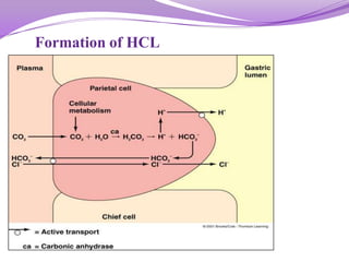 Formation of HCL
 