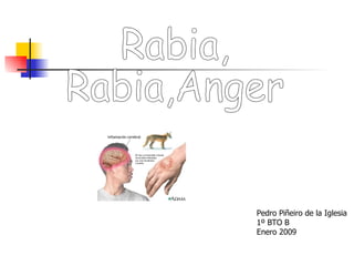Rabia, Rabia,Anger Pedro Piñeiro de la Iglesia 1º BTO B Enero 2009 