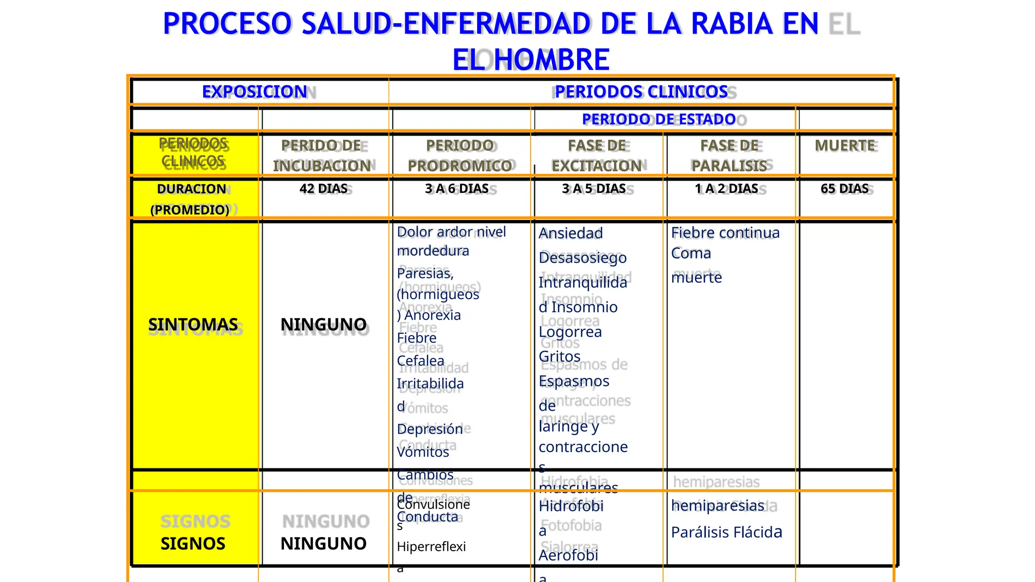 Vías de transmisión de la rabia y sus portadores | PPTX