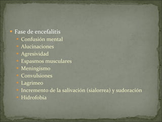 Fase de encefalitis Confusión mental  Alucinaciones  Agresividad  Espasmos musculares  Meningismo  Convulsiones  Lagrimeo  Incremento de la salivación (sialorrea) y sudoración  Hidrofobia  