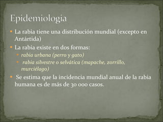 La rabia tiene una distribución mundial (excepto en Antártida) La rabia existe en dos formas:  rabia urbana (perro y gato)  rabia silvestre o selvática (mapache, zorrillo, murciélago) Se estima que la incidencia mundial anual de la rabia humana es de más de 30 000 casos . 