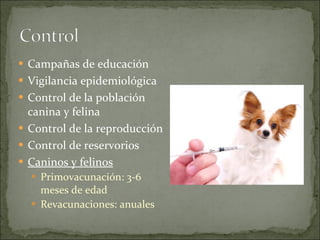 Campañas de educación  Vigilancia epidemiológica  Control de la población canina y felina Control de la reproducción Control de reservorios Caninos y felinos Primovacunación: 3-6 meses de edad Revacunaciones: anuales 