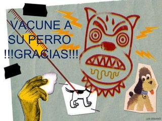 VACUNE A SU PERRO  !!!GRACIAS!!! 