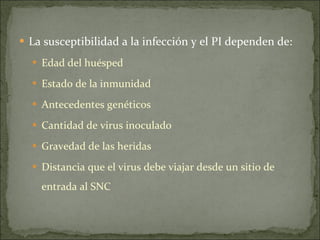 La susceptibilidad a la infección y el PI dependen de: Edad del huésped Estado de la inmunidad Antecedentes genéticos Cantidad de virus inoculado Gravedad de las heridas Distancia que el virus debe viajar desde un sitio de entrada al SNC 