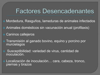    Mordedura, Rasguños, lameduras de animales infectados
   Animales domésticos sin vacunación anual (profilaxis)
   Caninos callejeros
   Transmisión al ganado bovino, equino y porcino por
    murcielagos
    Susceptibilidad: variedad de virus, cantidad de
    inoculación.
   Localización de inoculación… cara, cabeza, tronco,
    piernas y brazos
 