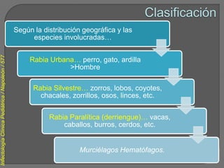 Según la distribución geográfica y las
                                                        especies involucradas…
Infectología Clínica Pediátrica / Napoleón / 577




                                                        Rabia Urbana… perro, gato, ardilla
                                                                   >Hombre

                                                         Rabia Silvestre… zorros, lobos, coyotes,
                                                           chacales, zorrillos, osos, linces, etc.


                                                              Rabia Paralítica (derriengue)… vacas,
                                                                  caballos, burros, cerdos, etc.


                                                                        Murciélagos Hematófagos.
 