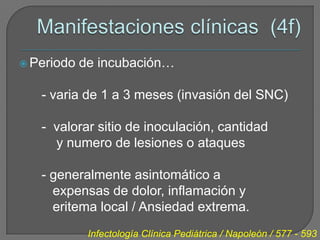  Periodo   de incubación…

   - varia de 1 a 3 meses (invasión del SNC)

   - valorar sitio de inoculación, cantidad
     y numero de lesiones o ataques

   - generalmente asintomático a
     expensas de dolor, inflamación y
     eritema local / Ansiedad extrema.
             Infectología Clínica Pediátrica / Napoleón / 577 - 593
 