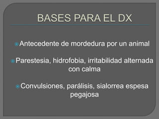 Antecedente    de mordedura por un animal

 Parestesia,   hidrofobia, irritabilidad alternada
                     con calma

  Convulsiones,    parálisis, sialorrea espesa
                     pegajosa
 