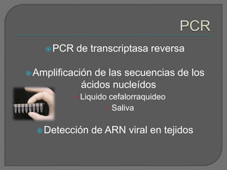 PCR   de transcriptasa reversa

 Amplificación de las secuencias de los
             ácidos nucleídos
            • Liquido cefalorraquideo
                    • Saliva


   Detección   de ARN viral en tejidos
 