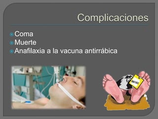  Coma
 Muerte
 Anafilaxia   a la vacuna antirrábica
 