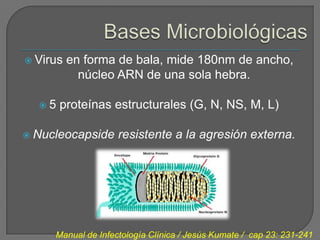  Virus   en forma de bala, mide 180nm de ancho,
            núcleo ARN de una sola hebra.

  5   proteínas estructurales (G, N, NS, M, L)

 Nucleocapside     resistente a la agresión externa.




     Manual de Infectología Clínica / Jesús Kumate / cap 23: 231-241
 