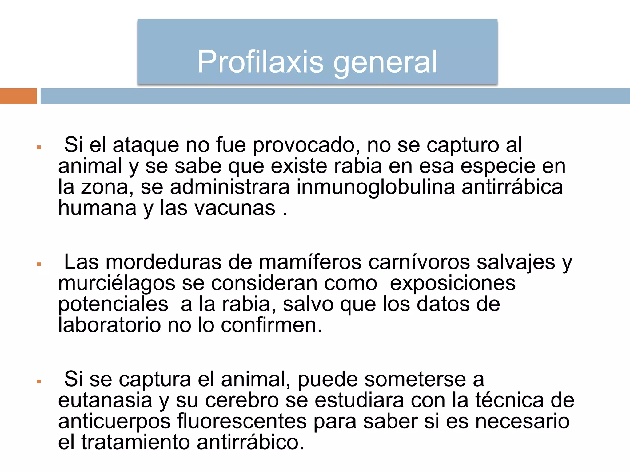  Si el ataque no fue provocado, no se capturo al
animal y se sabe que existe rabia en esa especie en
la zona, se administrara inmunoglobulina antirrábica
humana y las vacunas .
 Las mordeduras de mamíferos carnívoros salvajes y
murciélagos se consideran como exposiciones
potenciales a la rabia, salvo que los datos de
laboratorio no lo confirmen.
 Si se captura el animal, puede someterse a
eutanasia y su cerebro se estudiara con la técnica de
anticuerpos fluorescentes para saber si es necesario
el tratamiento antirrábico.
Profilaxis general
 